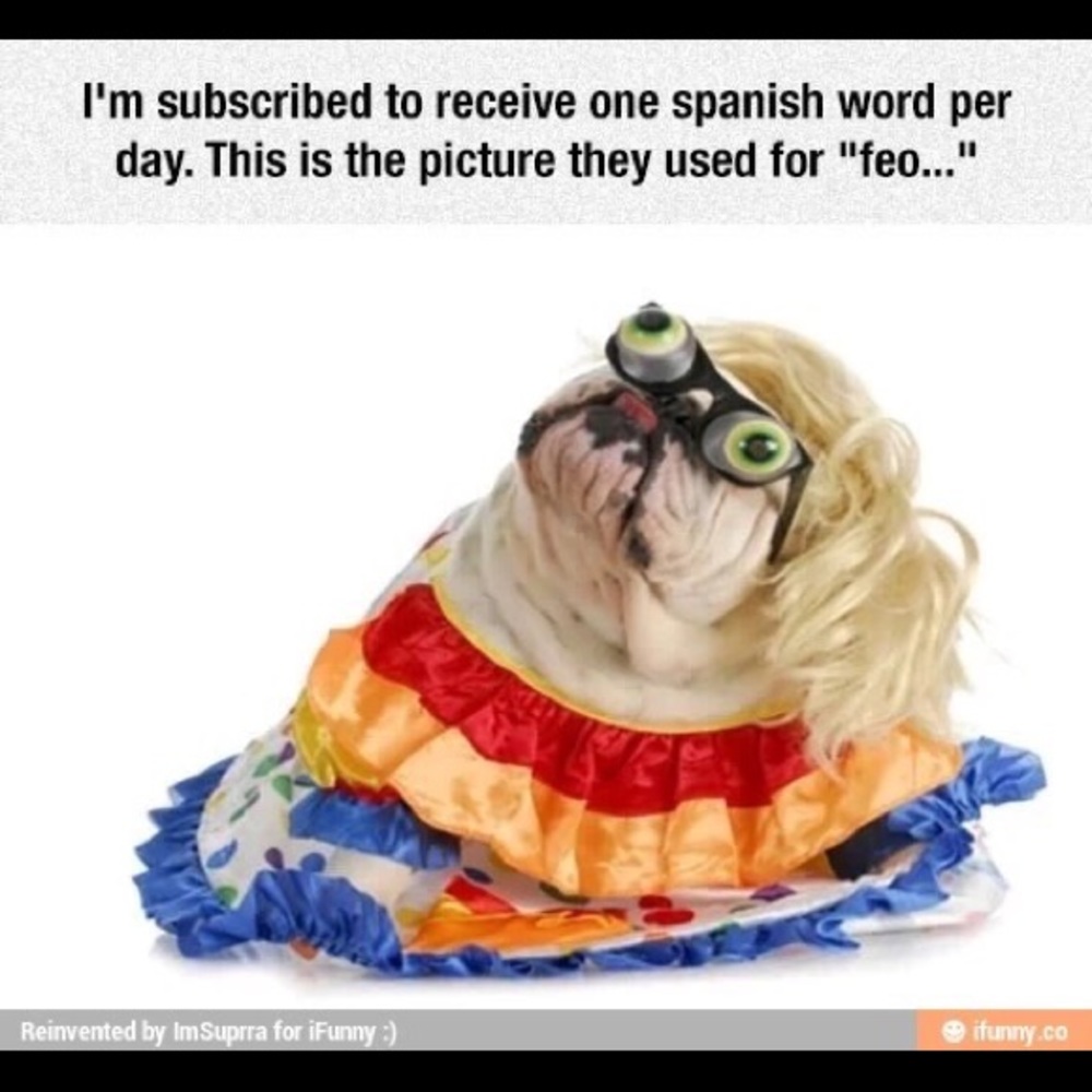 Meet your Posher, Matt